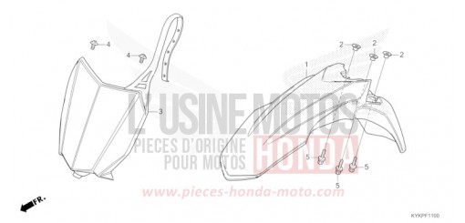 KOTFLUEGEL, VORNE CRF110FR de 2024